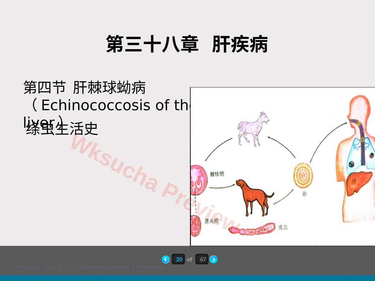 预览第 21 页