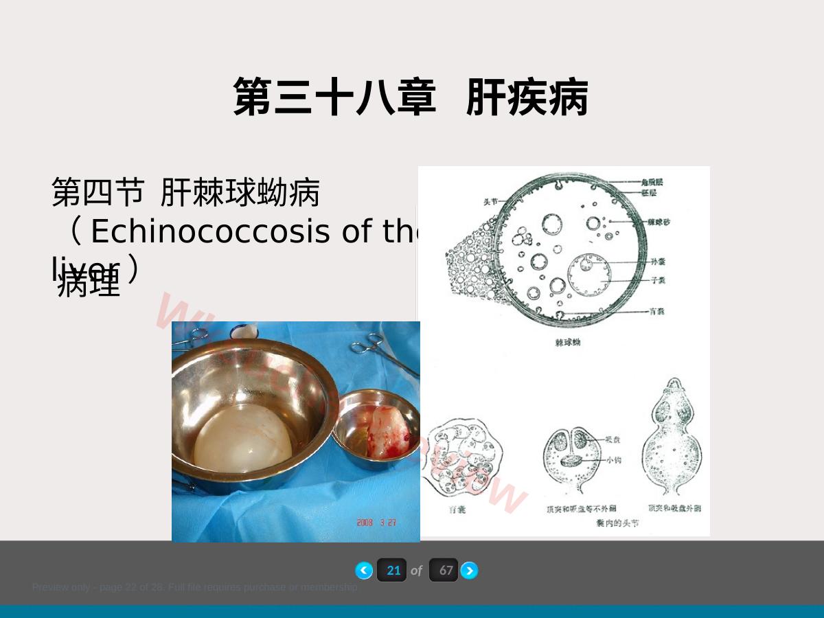 预览第 22 页