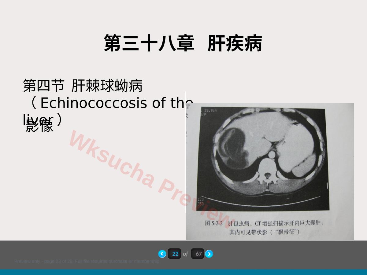 预览第 23 页