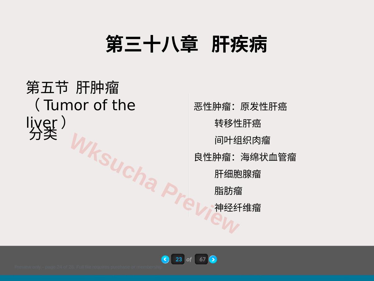 预览第 24 页