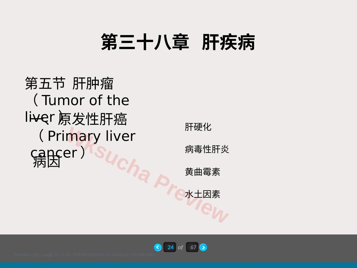 预览第 25 页