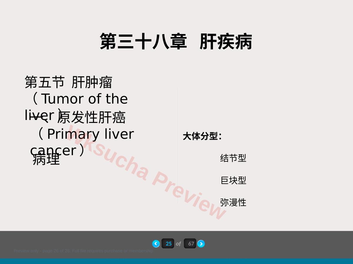 预览第 26 页