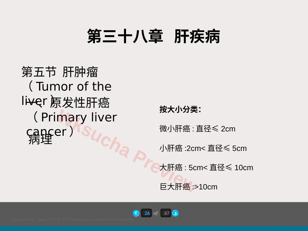 预览第 27 页