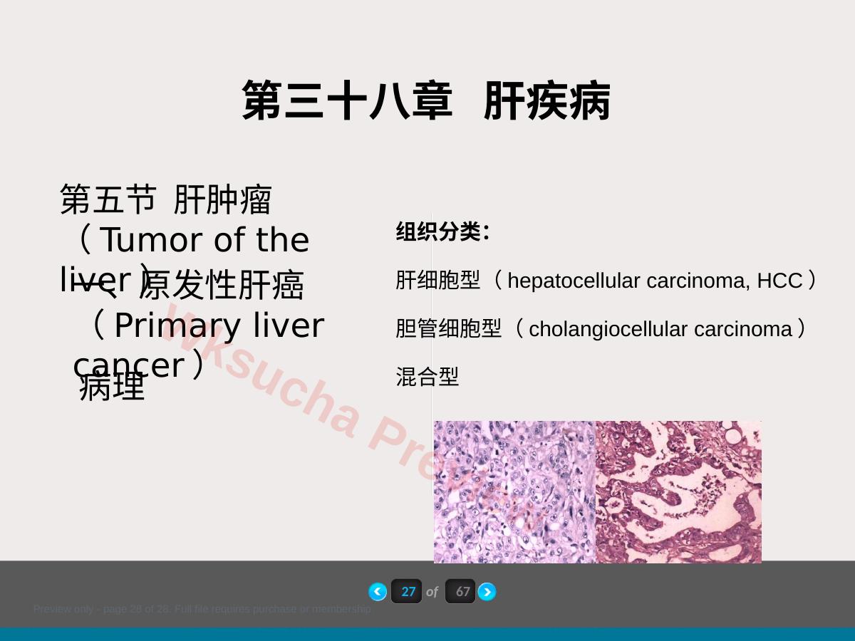 预览第 28 页