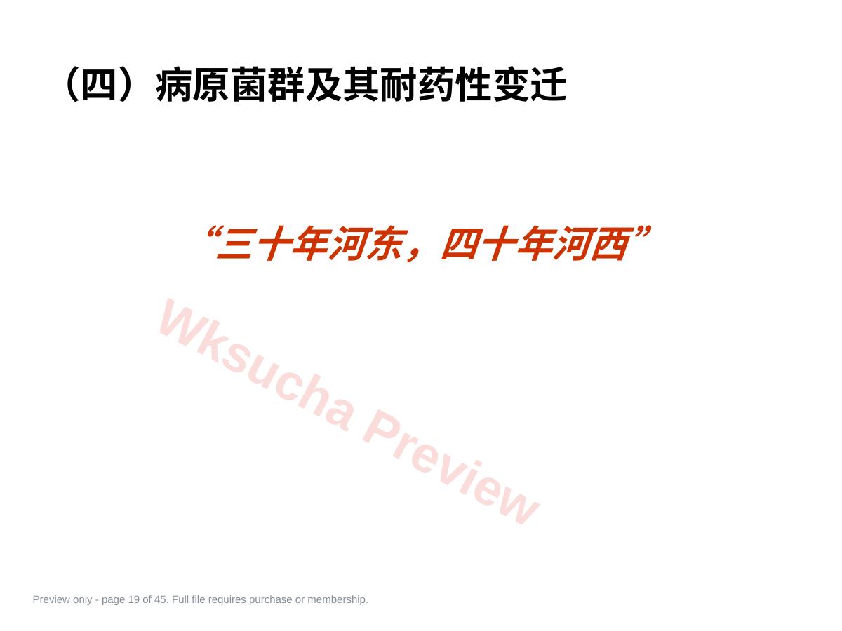 预览第 19 页