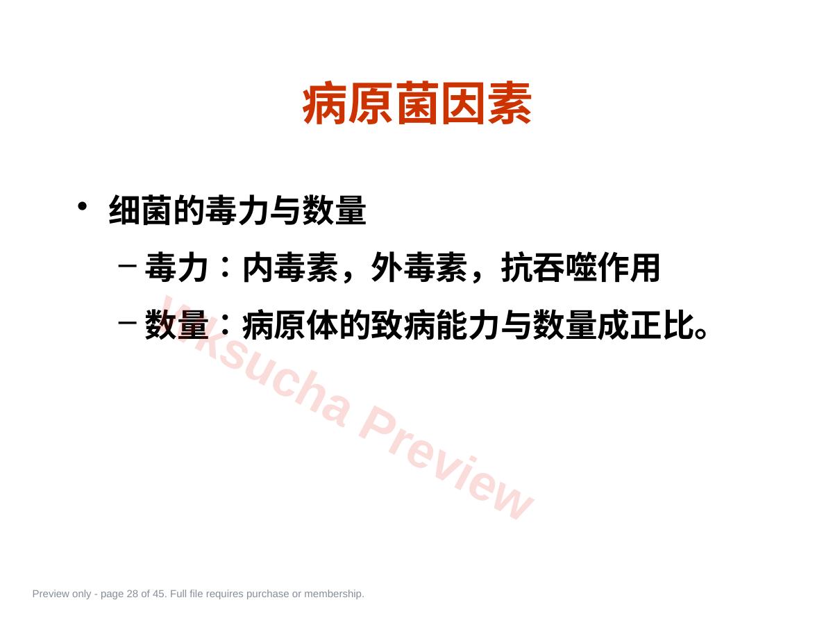 预览第 28 页