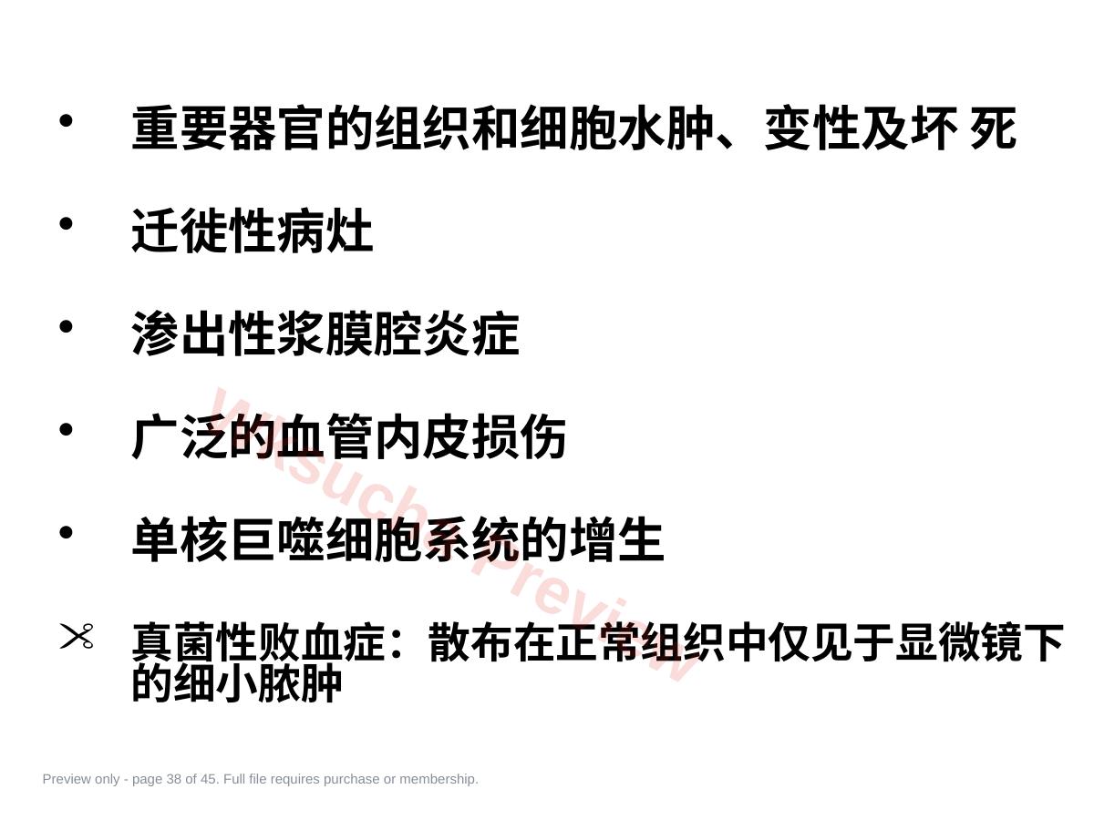 预览第 38 页
