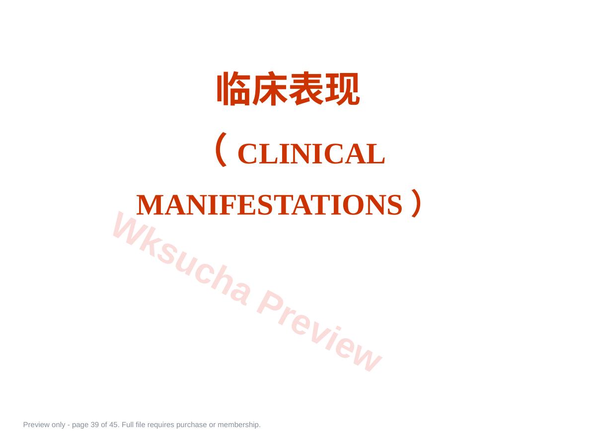 预览第 39 页