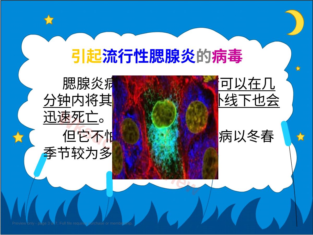 预览第 3 页