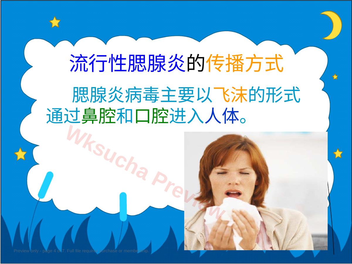 预览第 4 页