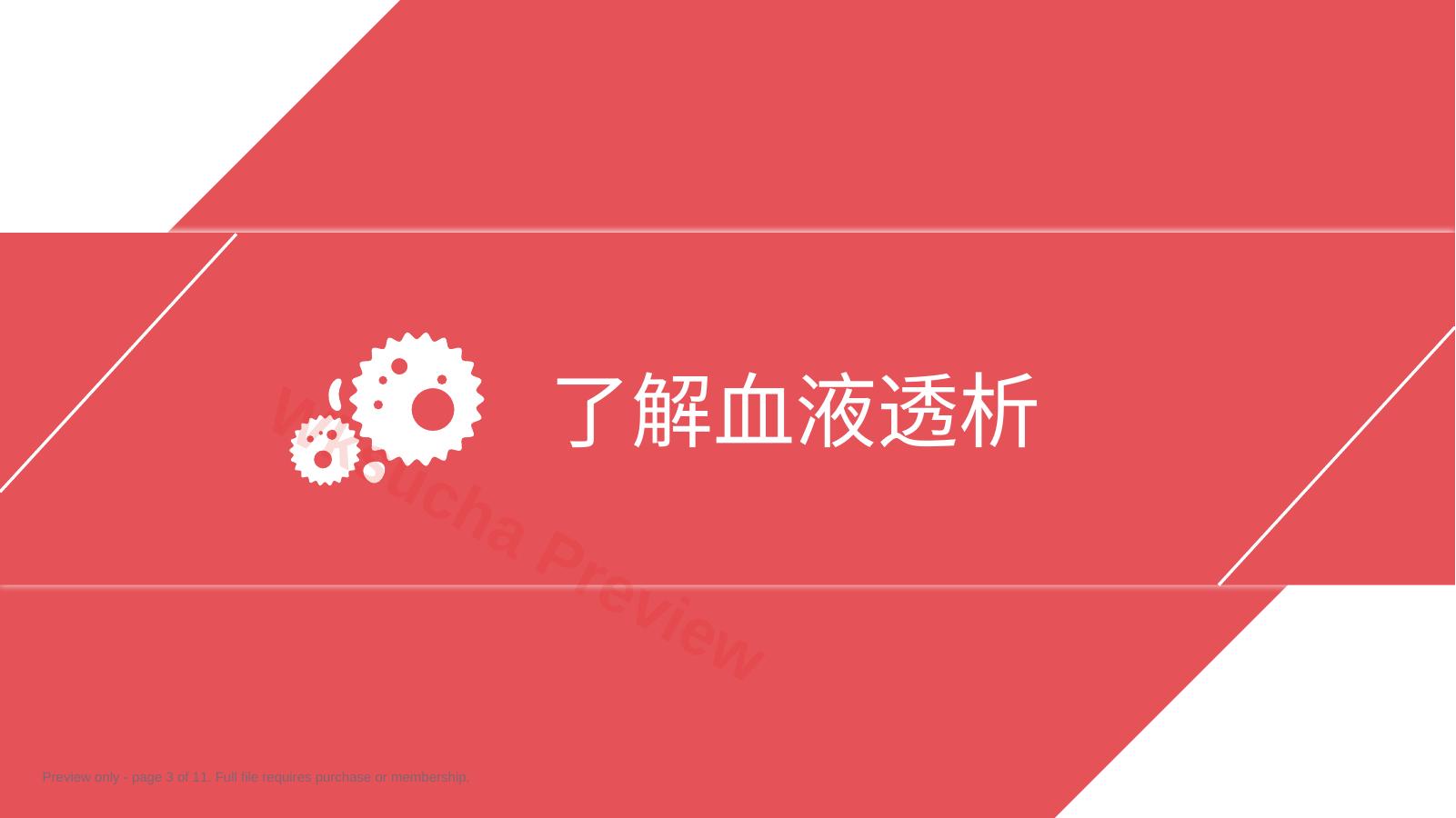 预览第 3 页