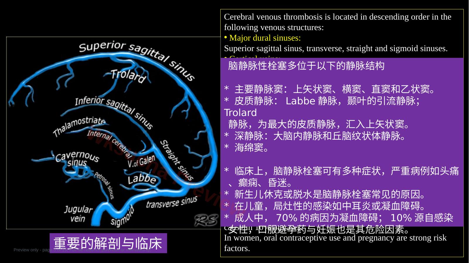 预览第 3 页
