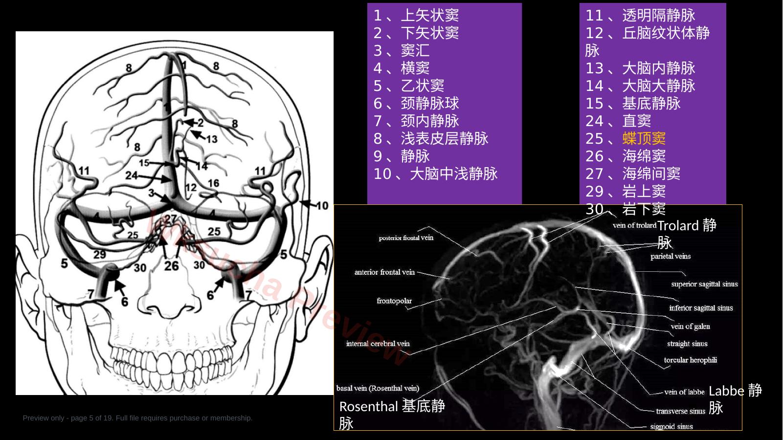 预览第 5 页