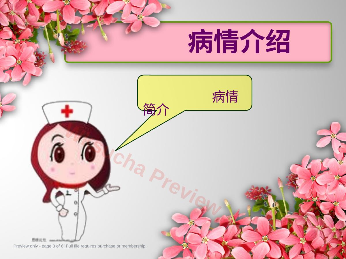 预览第 3 页