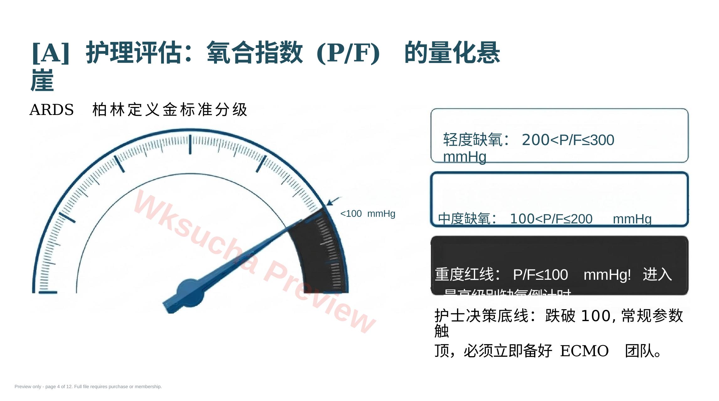 预览第 4 页