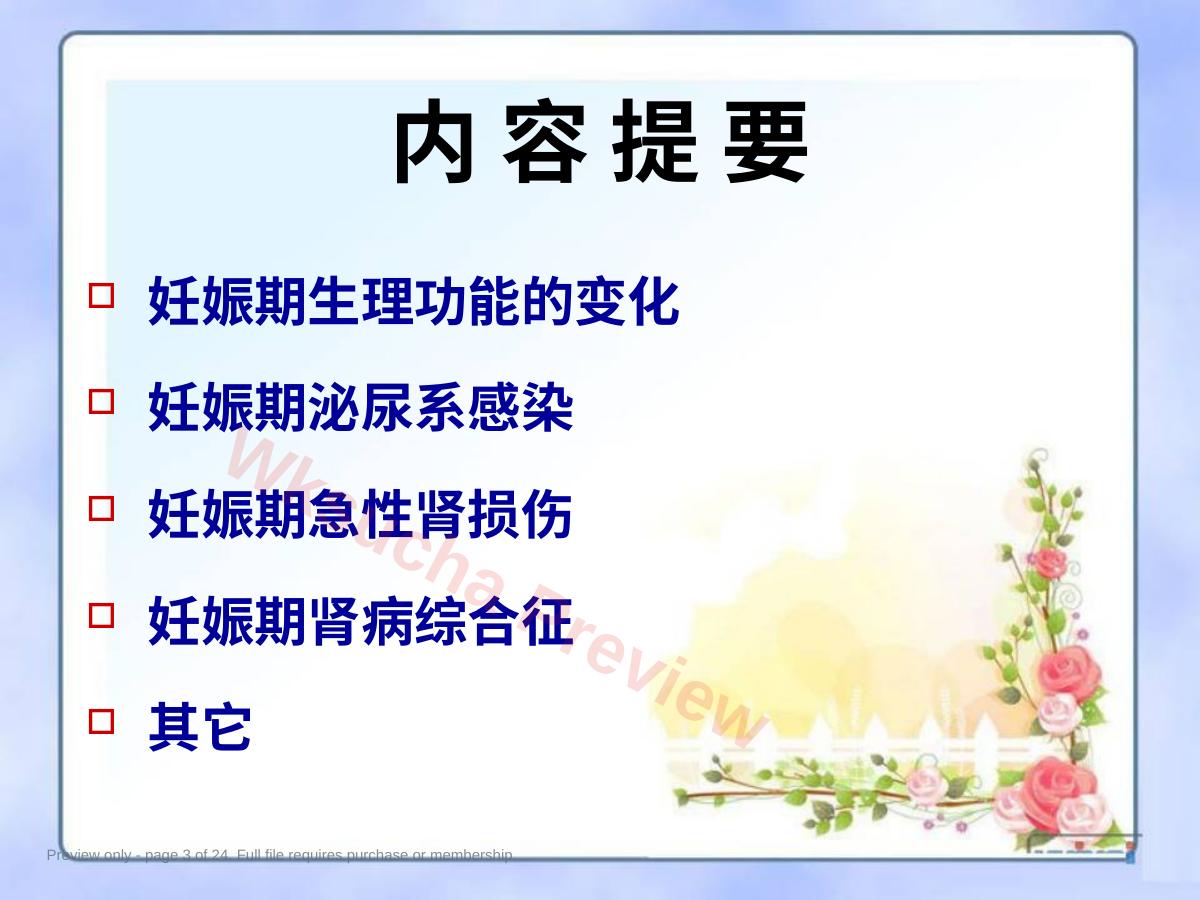 预览第 3 页