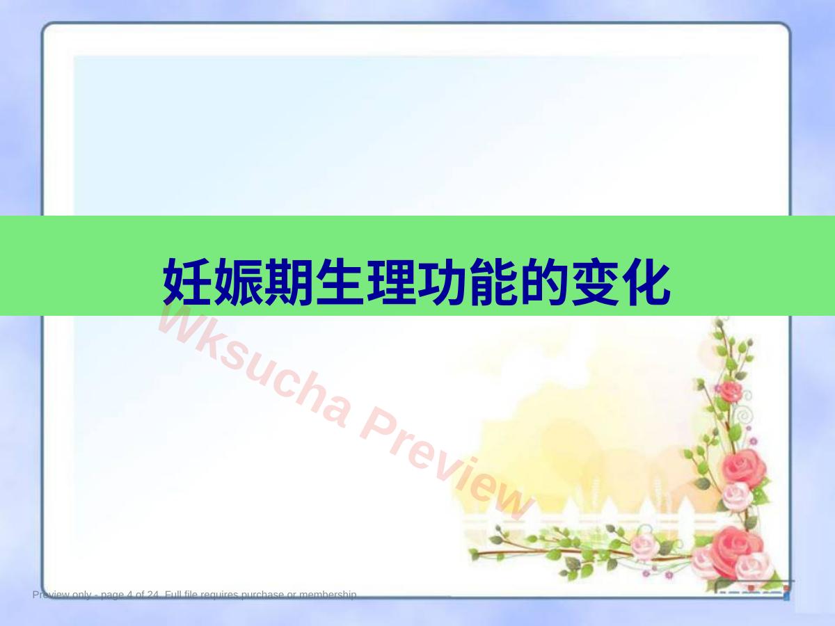 预览第 4 页