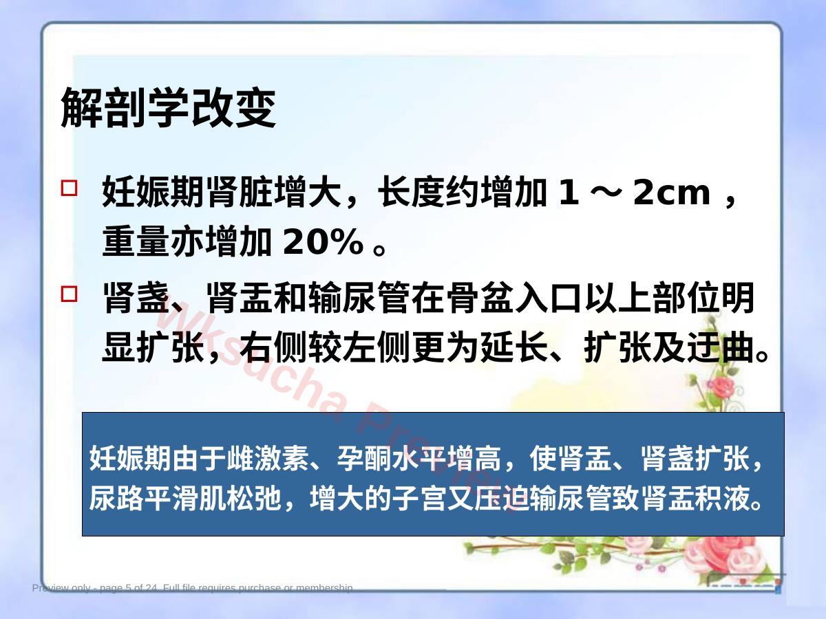 预览第 5 页