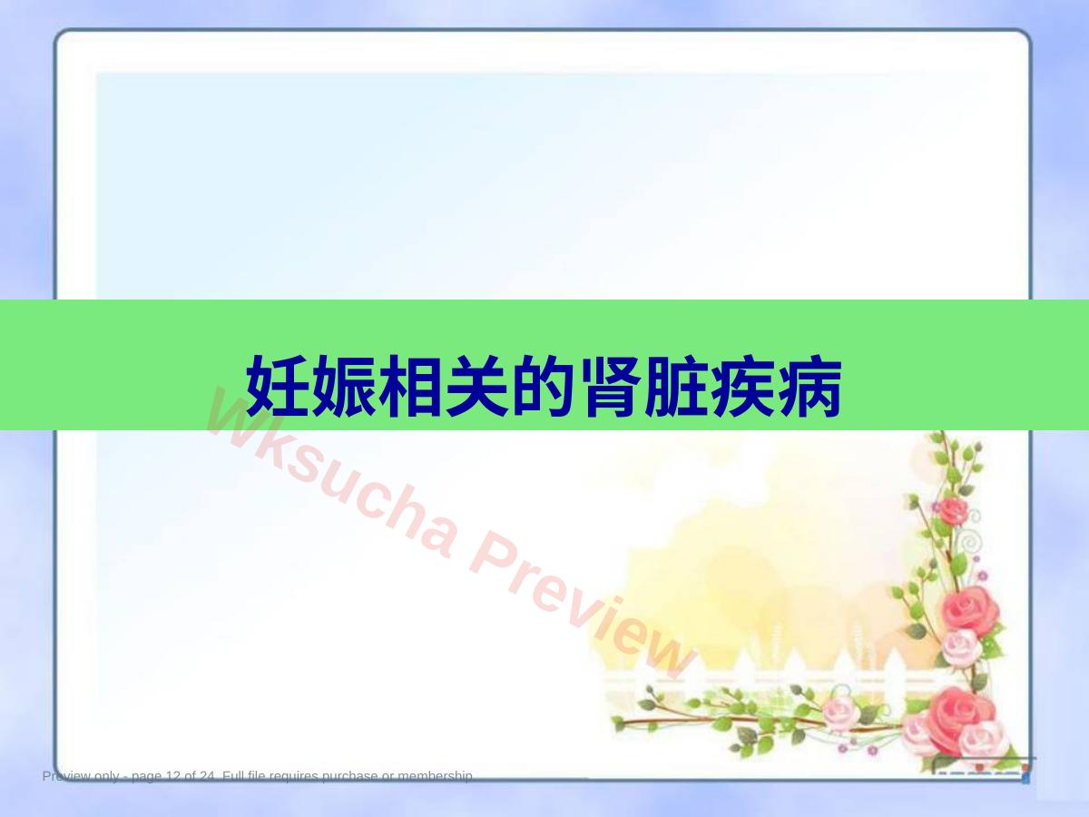 预览第 12 页