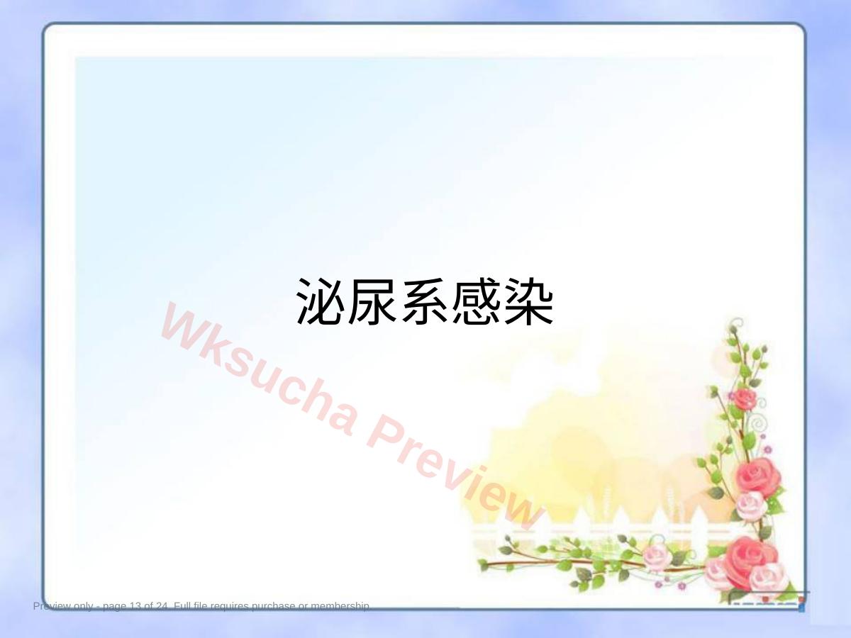 预览第 13 页