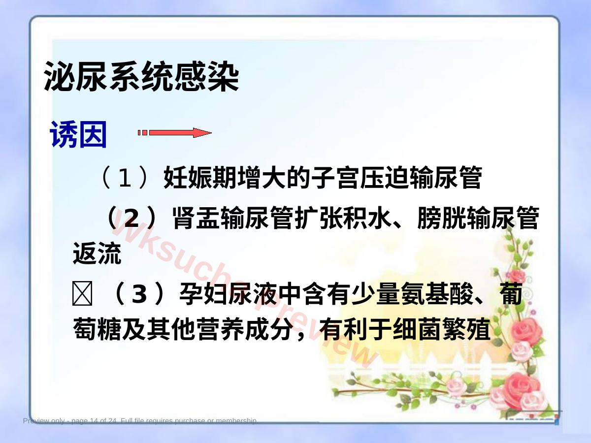 预览第 14 页