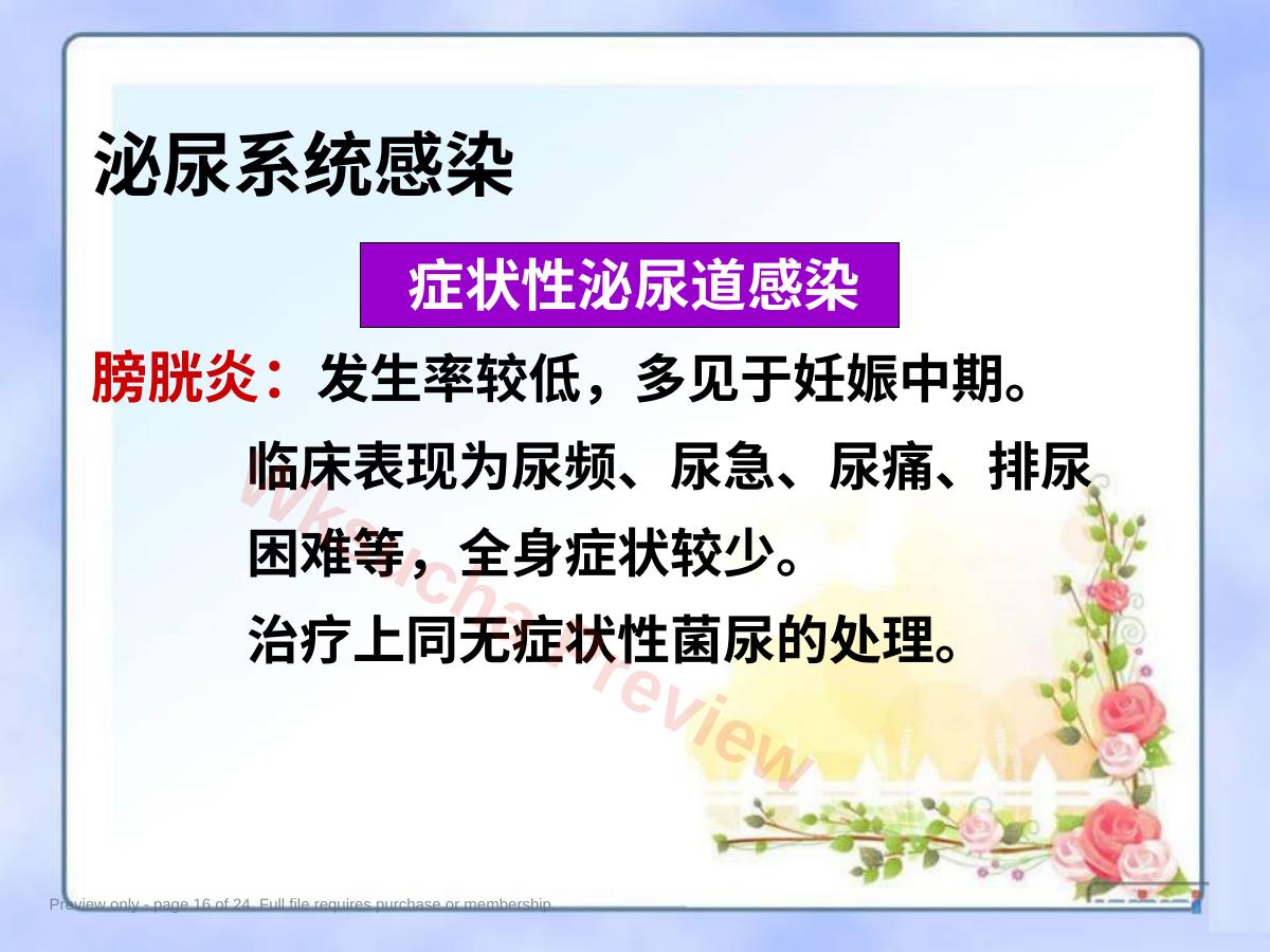 预览第 16 页