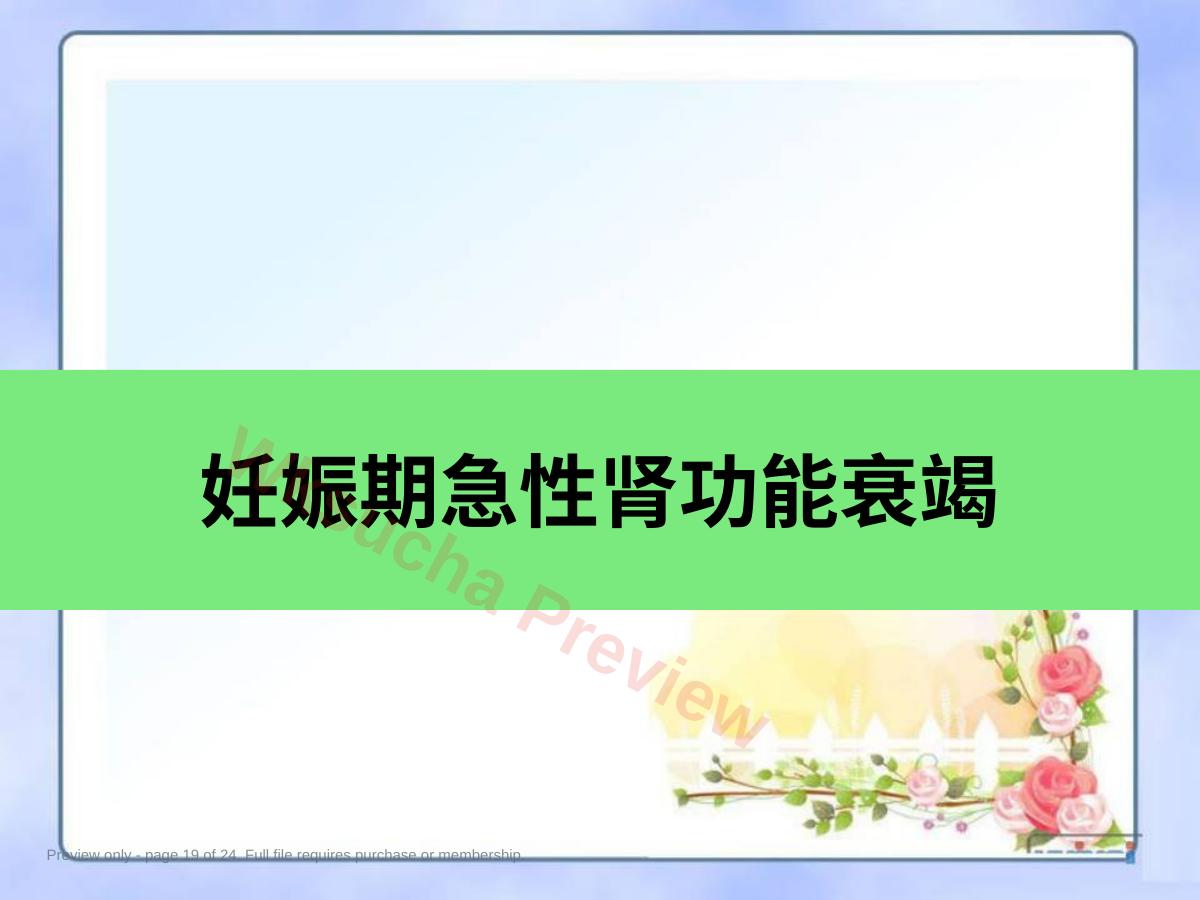 预览第 19 页