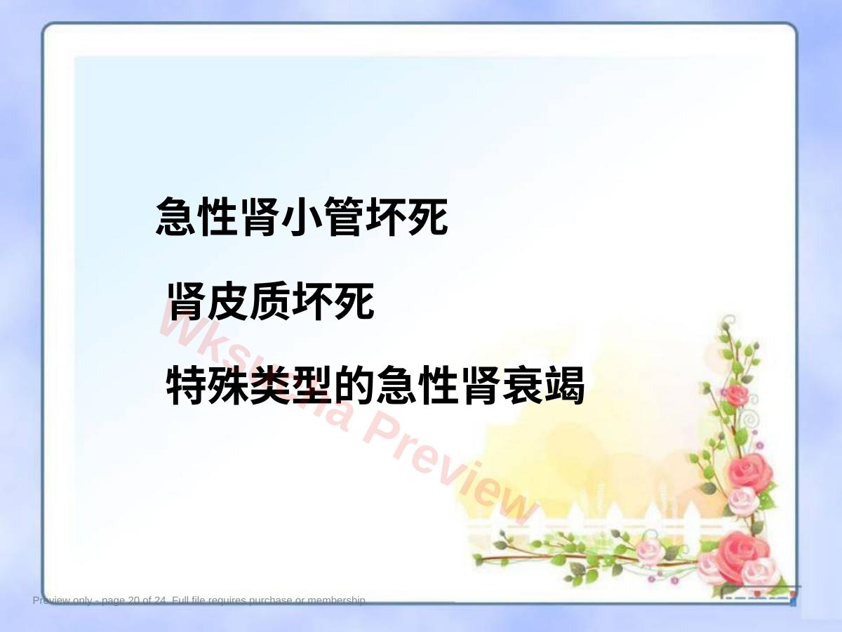 预览第 20 页
