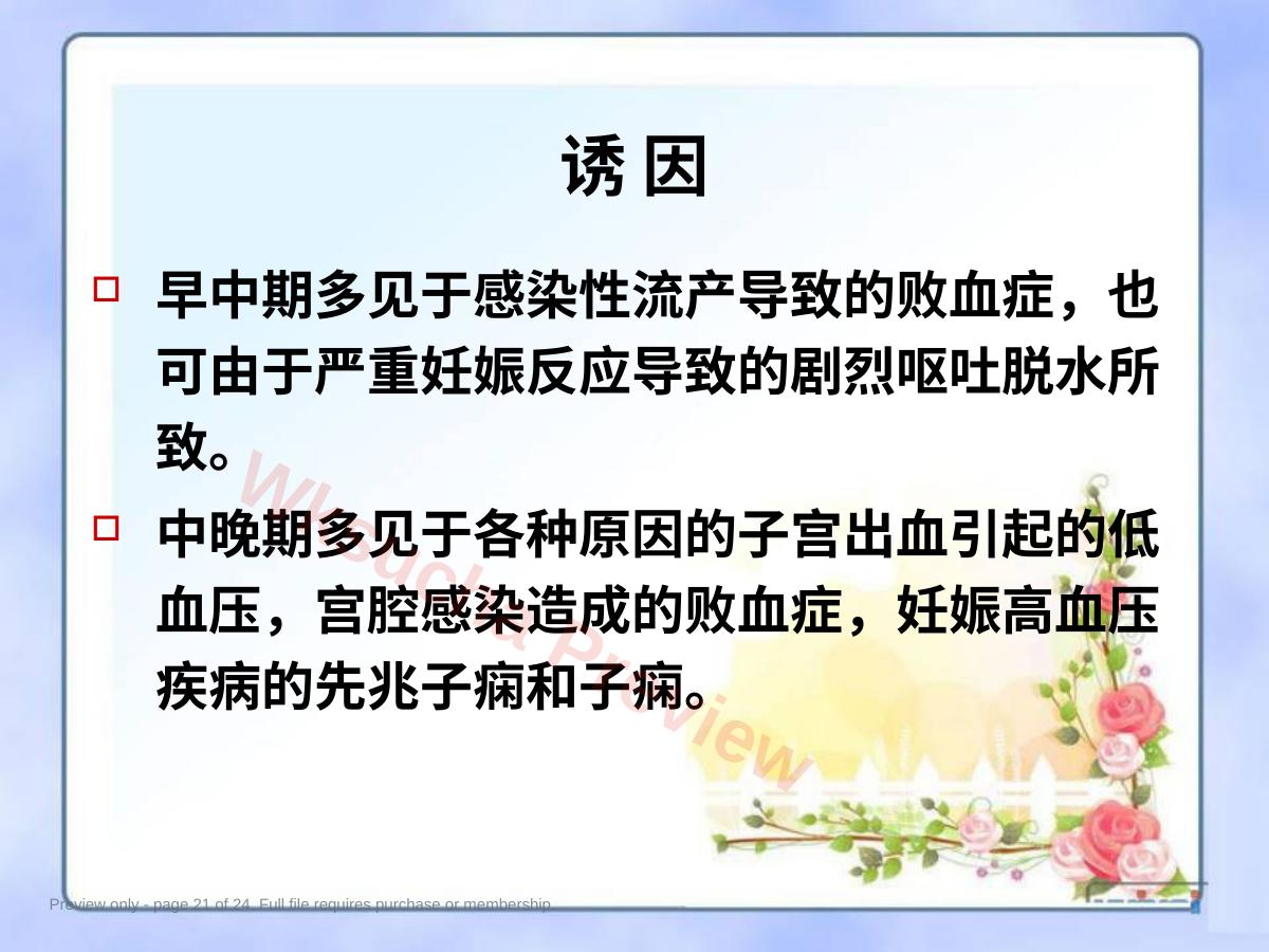 预览第 21 页