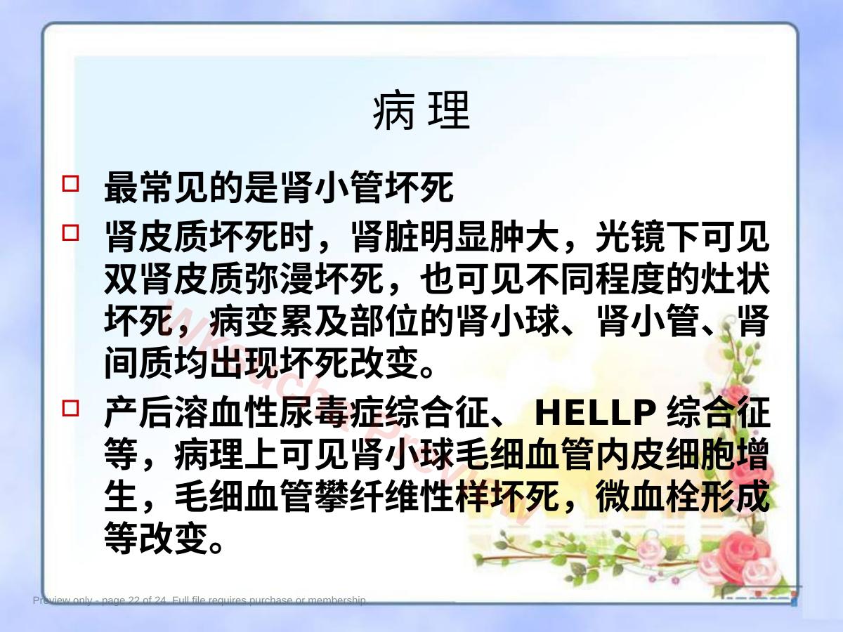 预览第 22 页