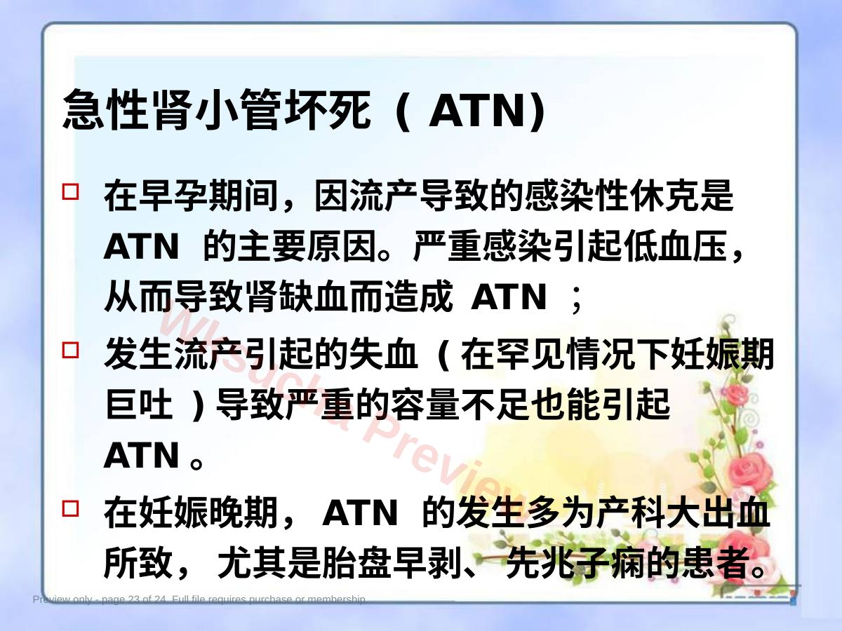 预览第 23 页