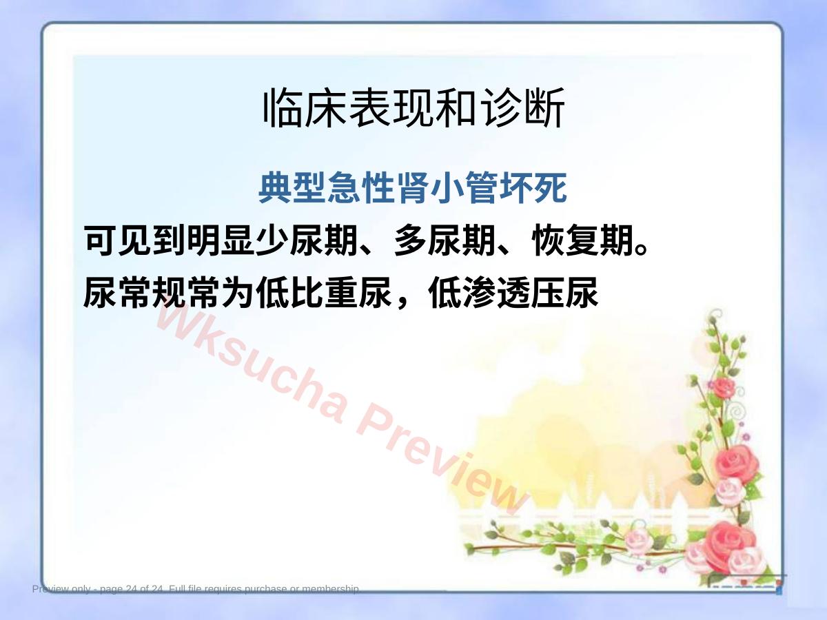 预览第 24 页