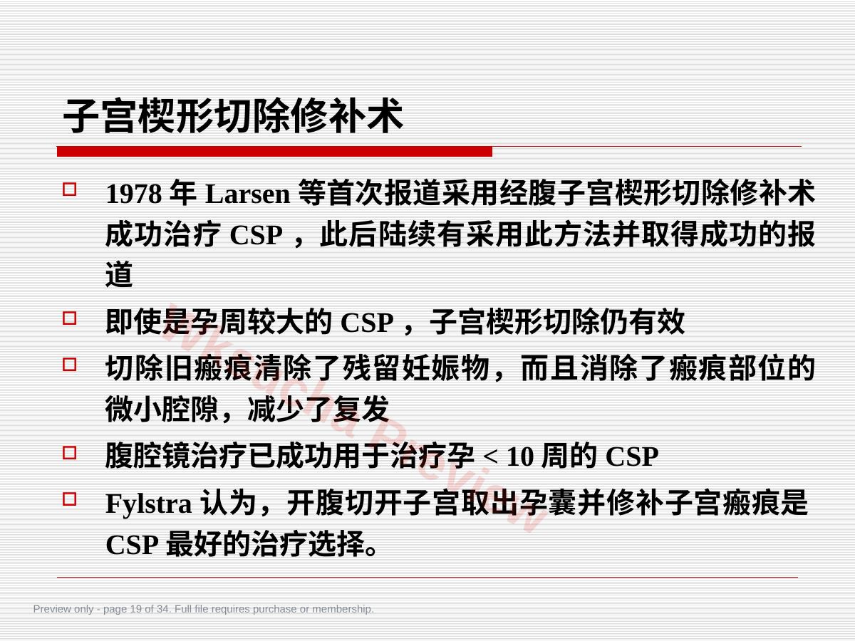 预览第 19 页