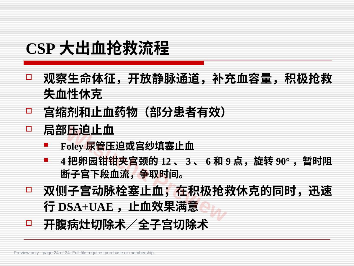 预览第 24 页