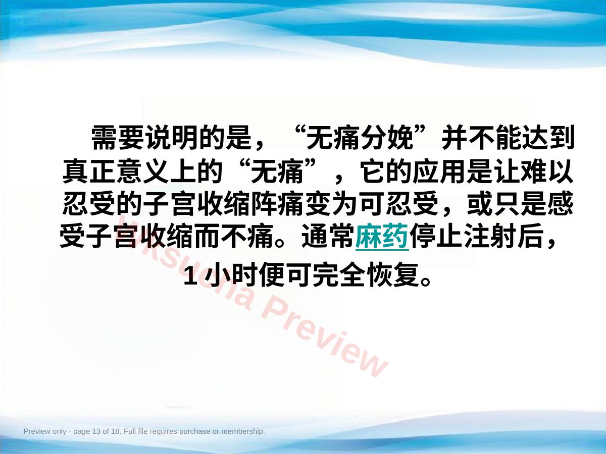 预览第 13 页