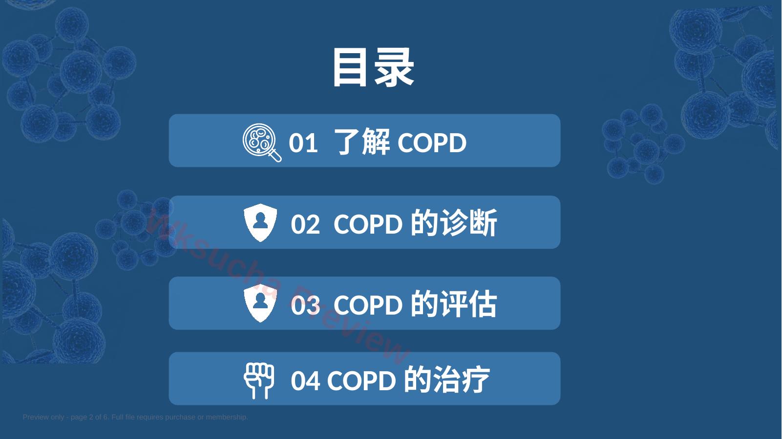 预览第 2 页