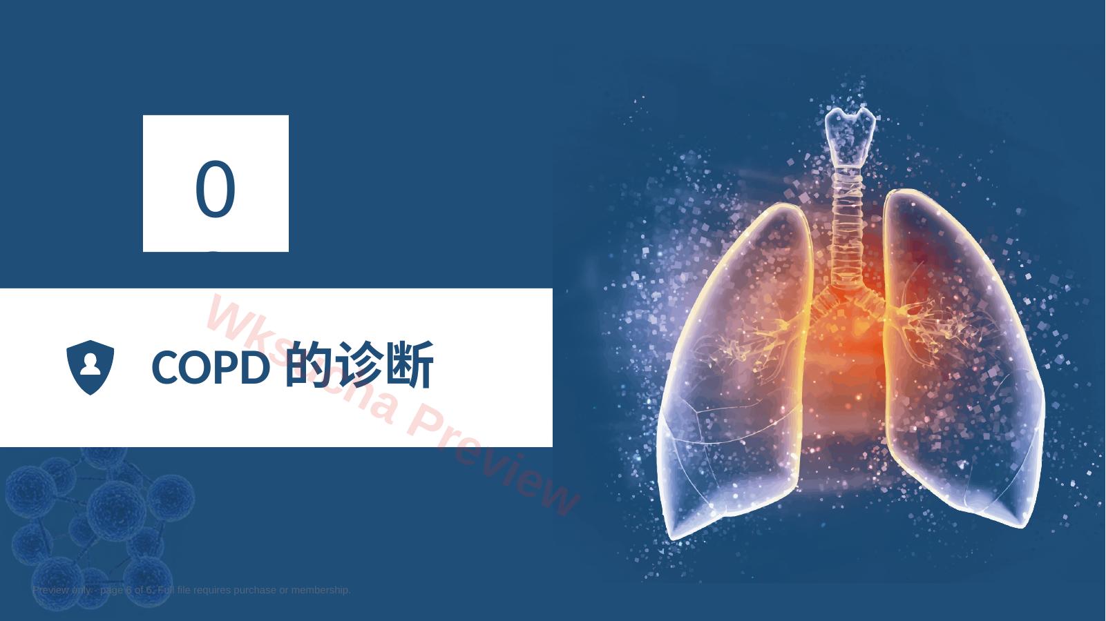 预览第 6 页