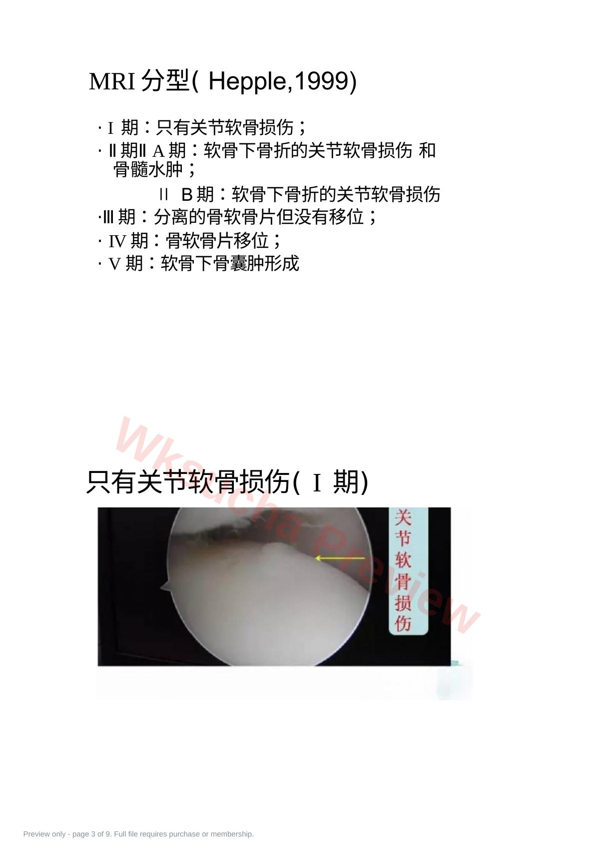 预览第 3 页