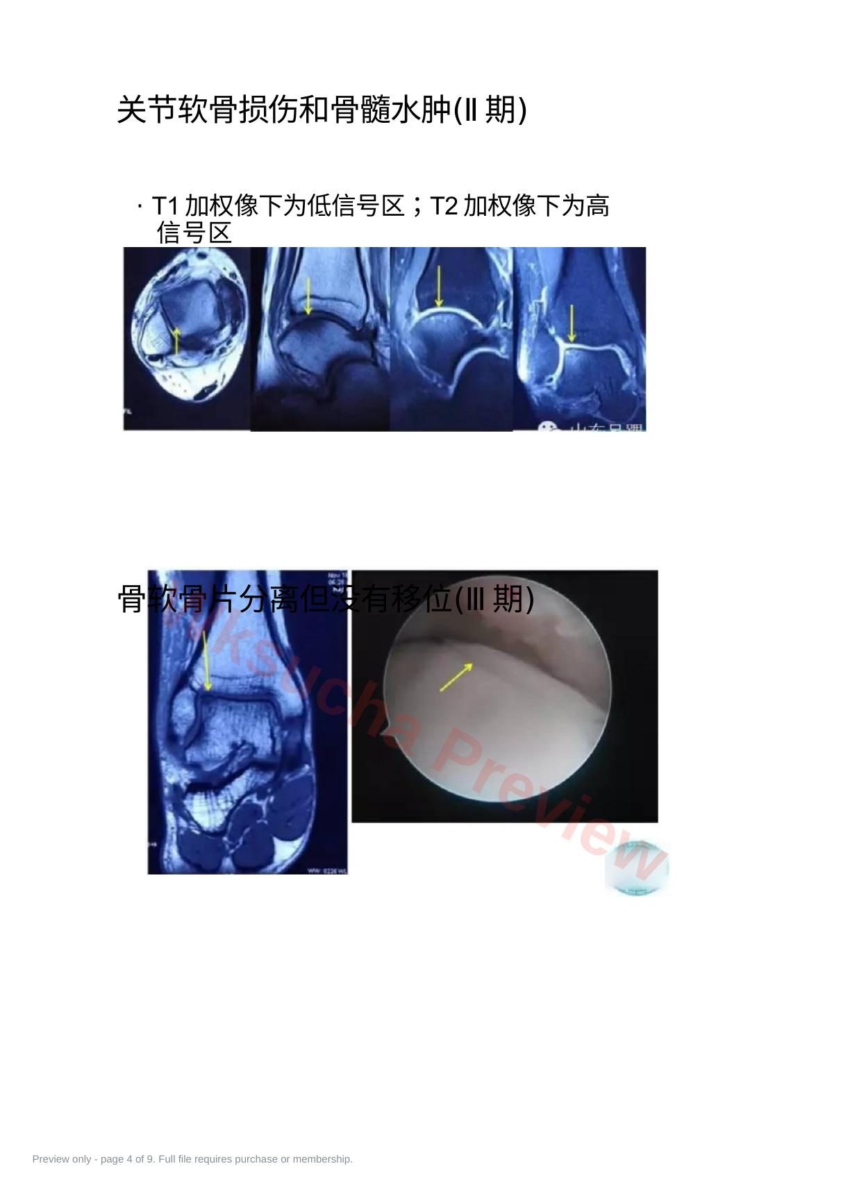 预览第 4 页