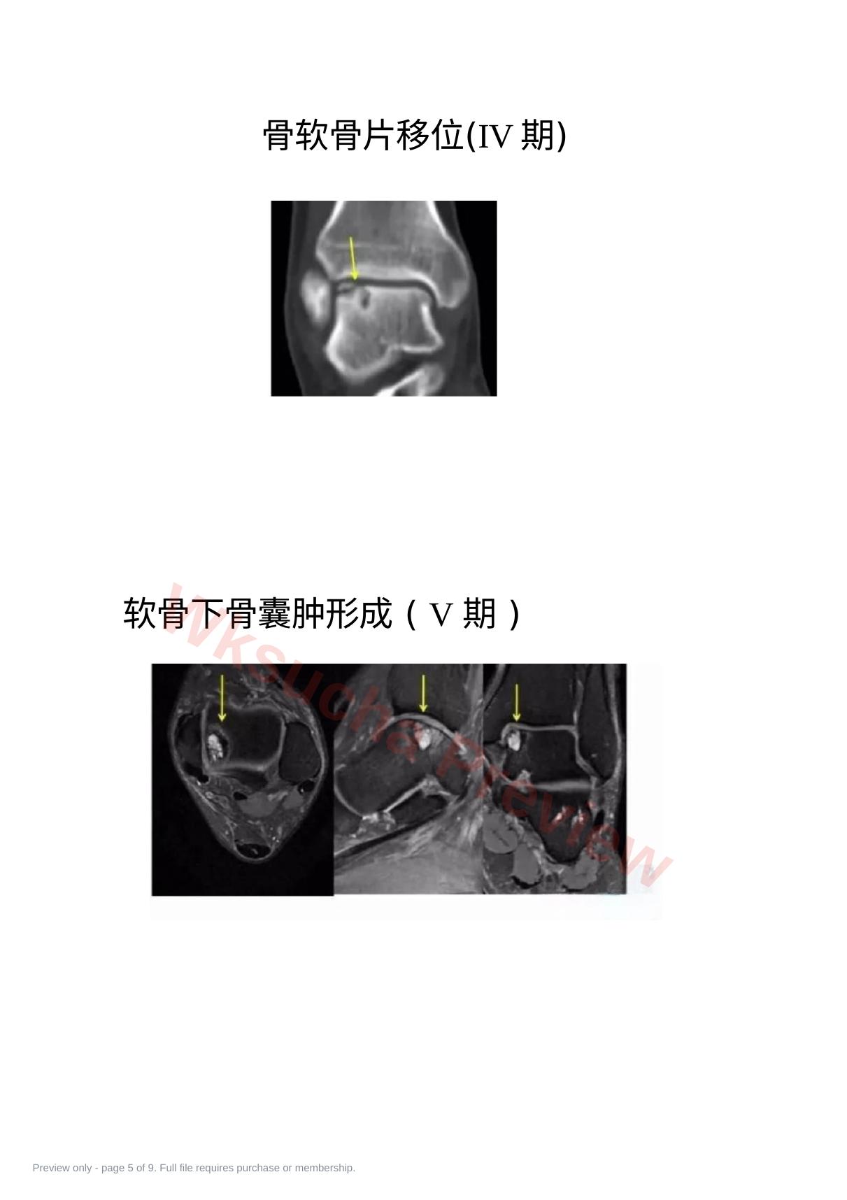预览第 5 页