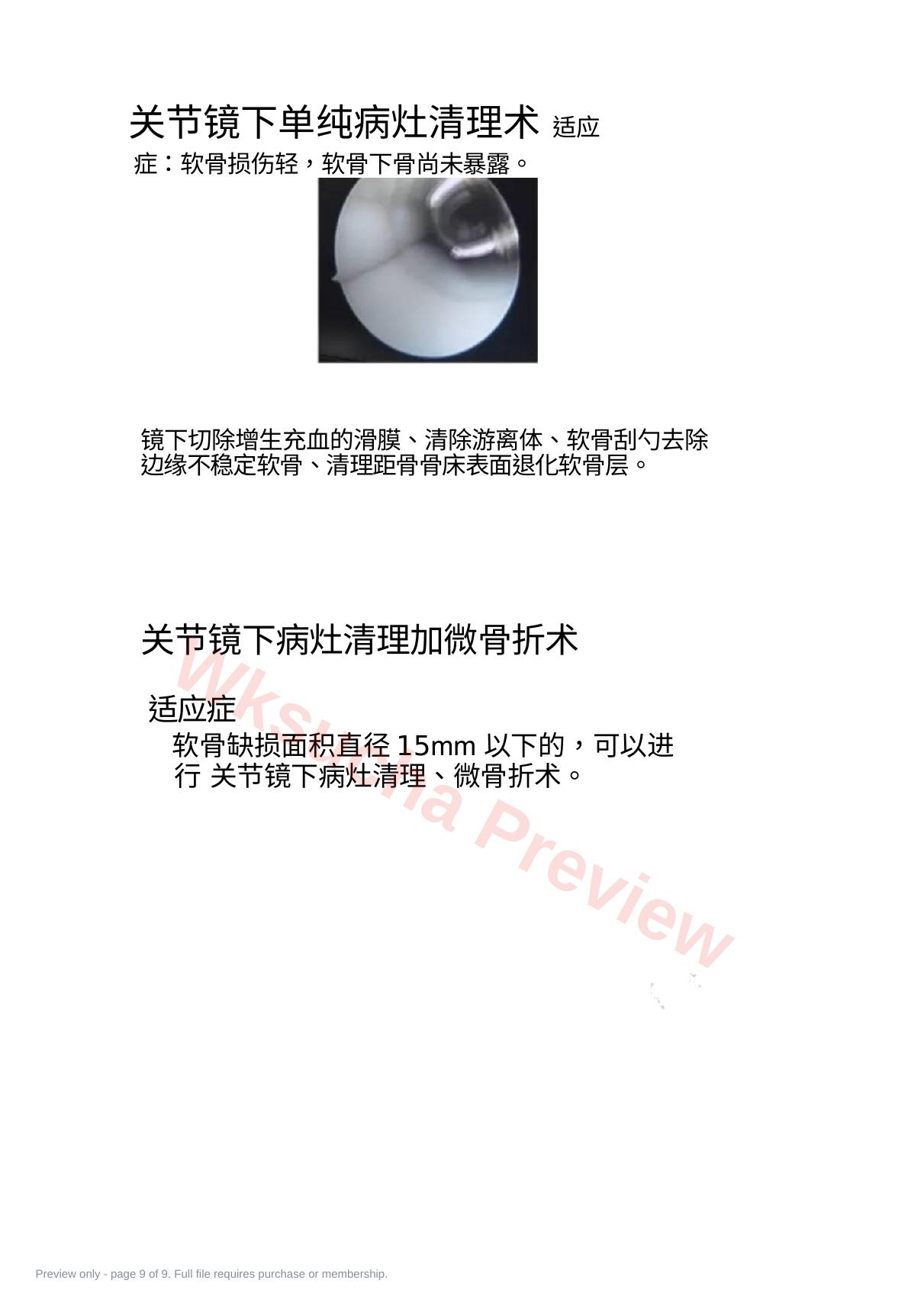 预览第 9 页