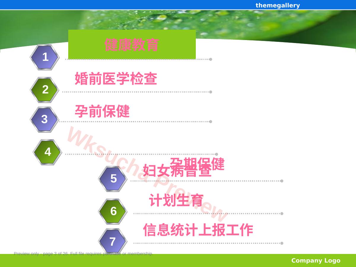 预览第 3 页