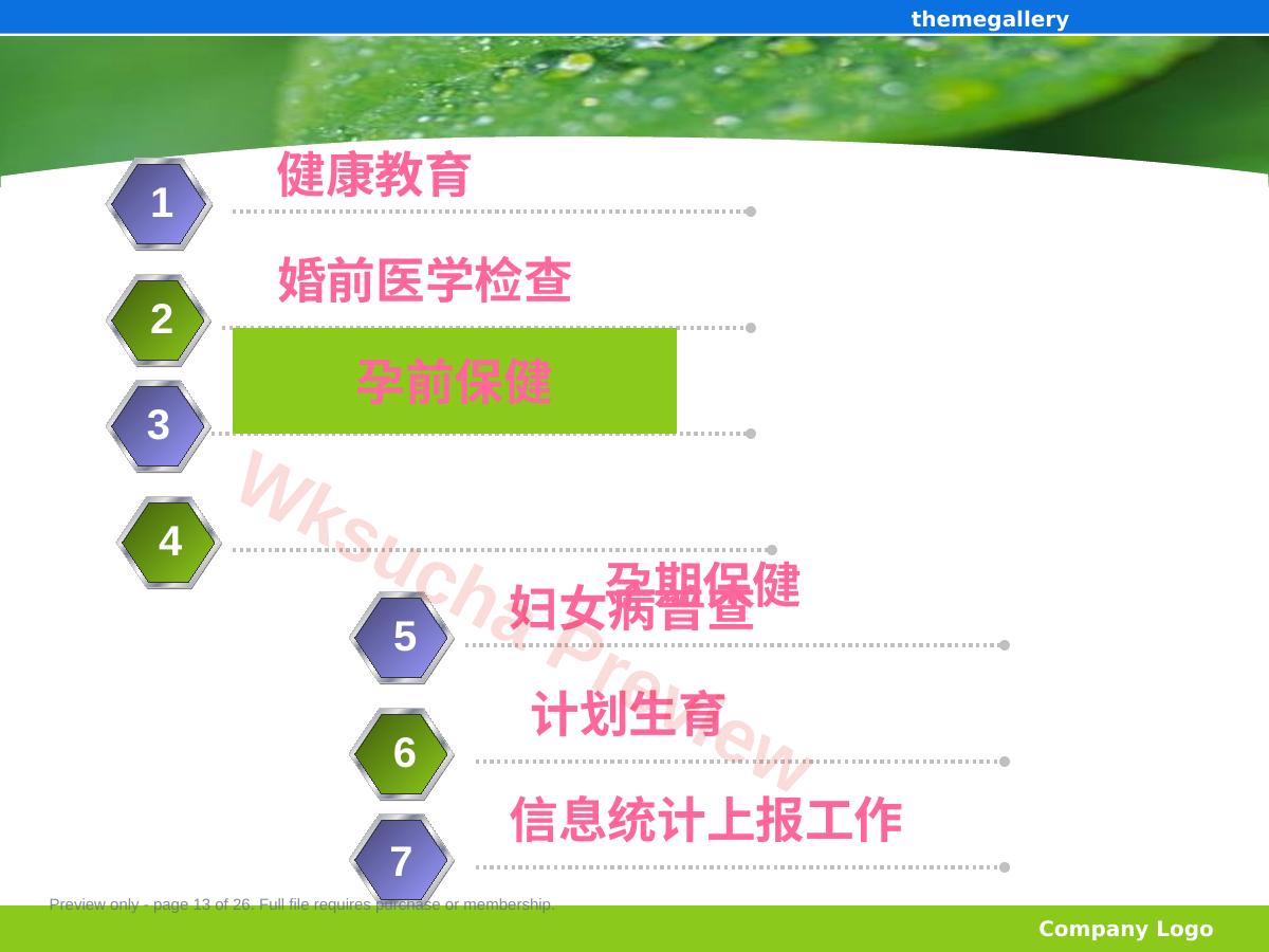 预览第 13 页