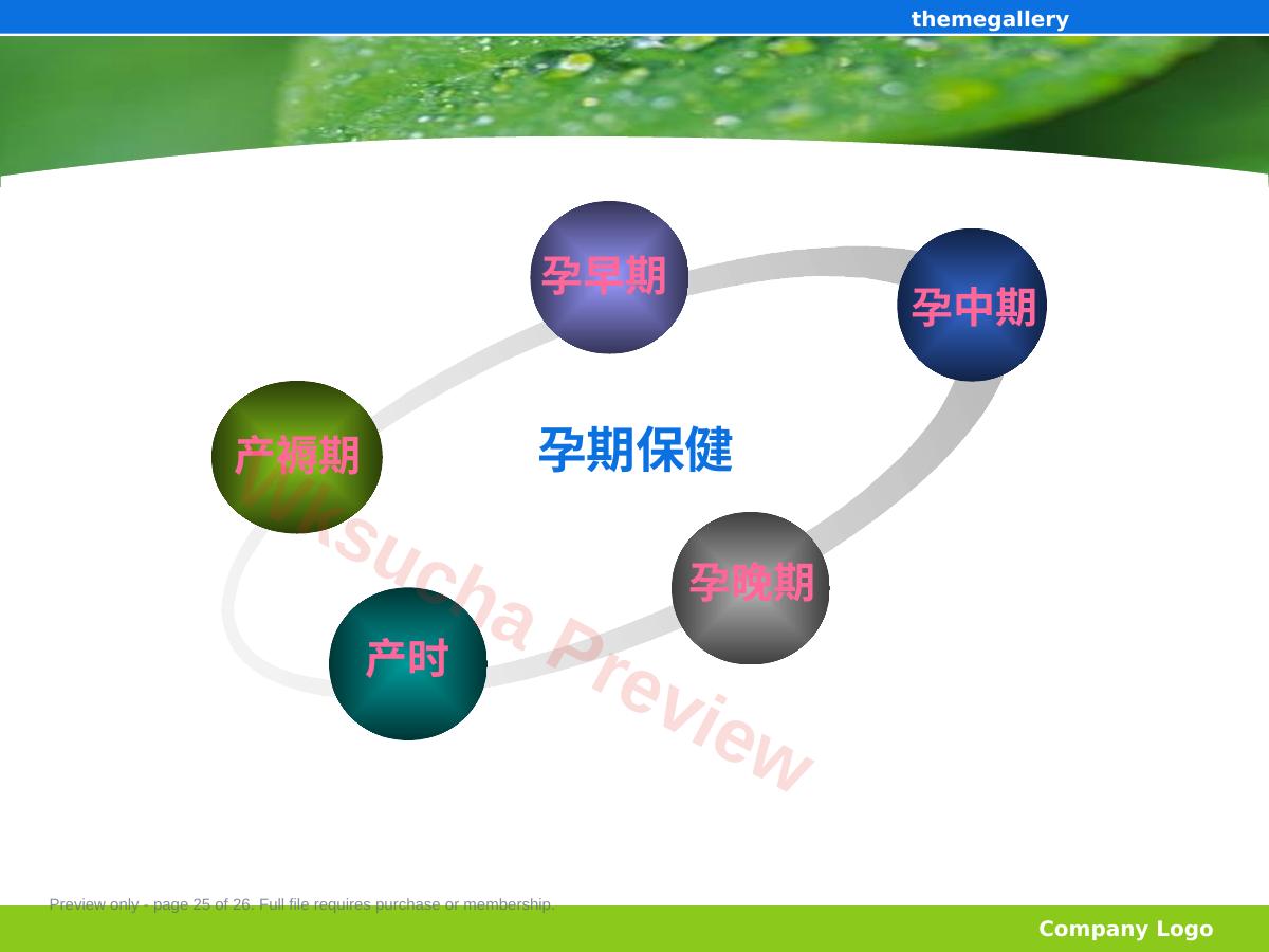 预览第 25 页