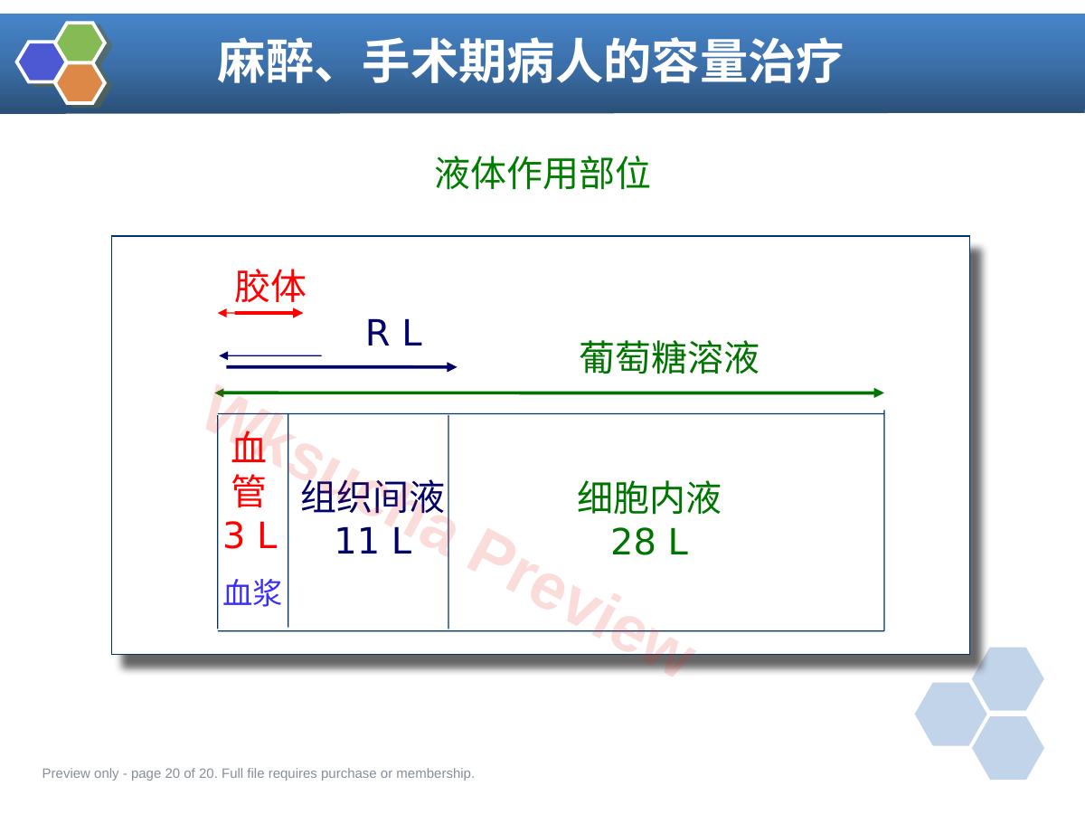 预览第 20 页