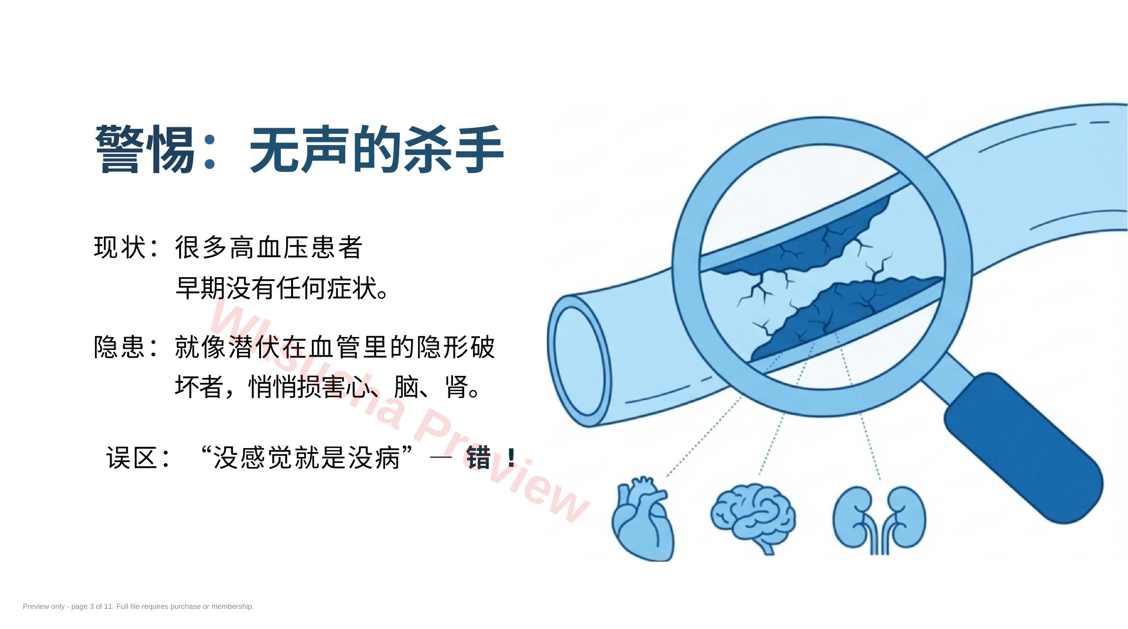 预览第 3 页