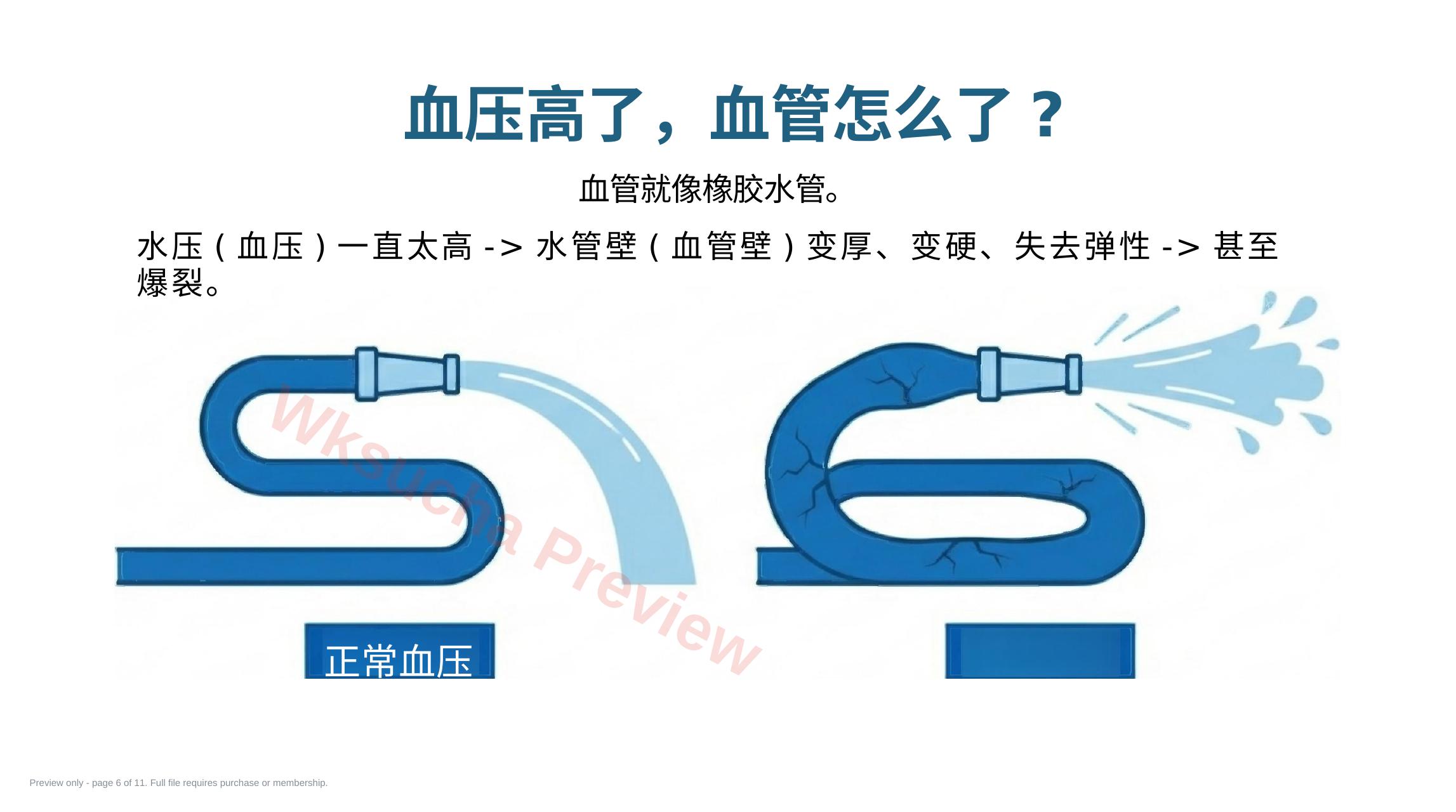预览第 6 页
