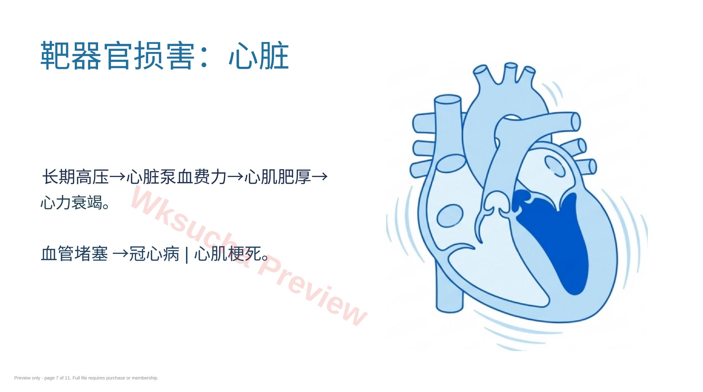 预览第 7 页