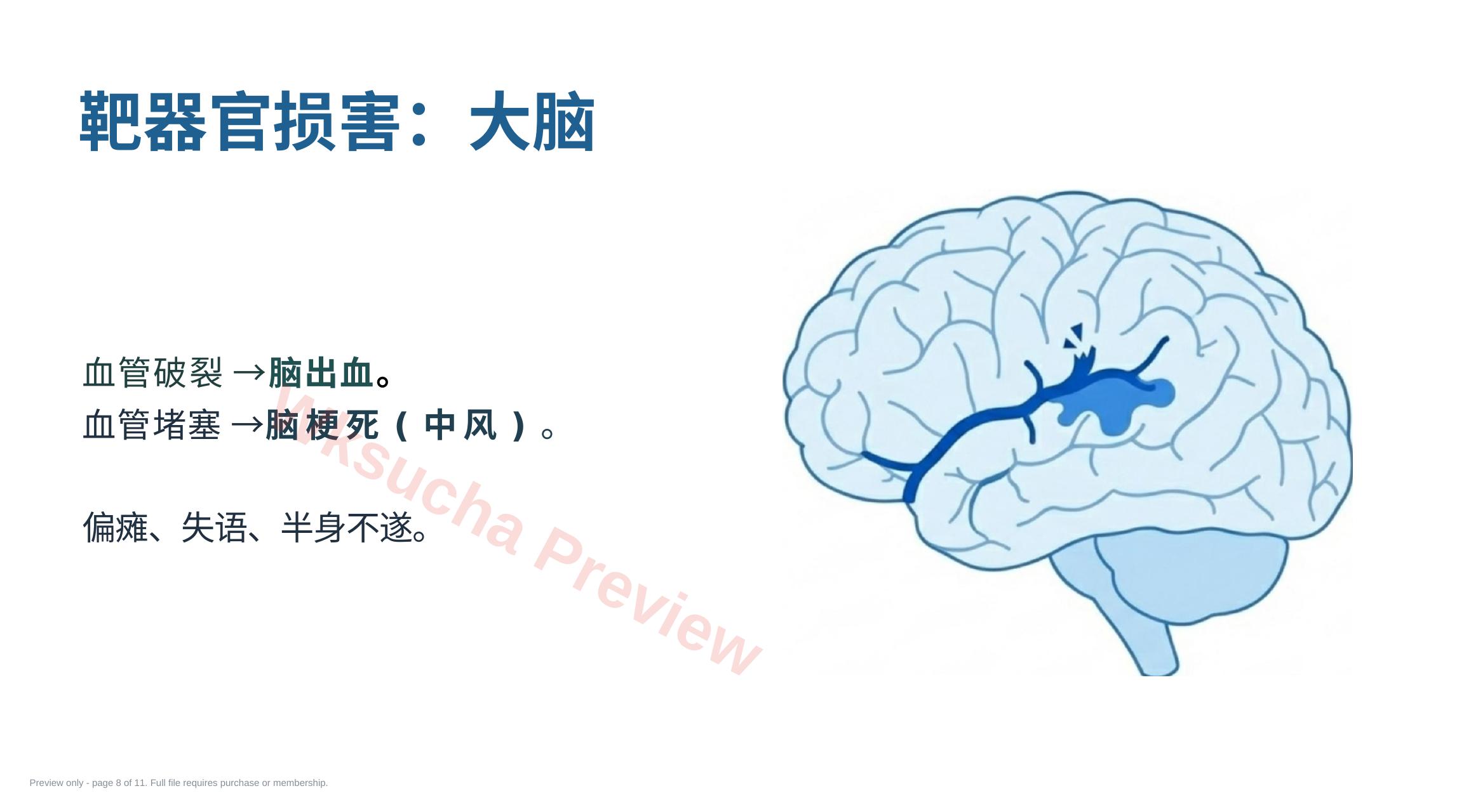 预览第 8 页