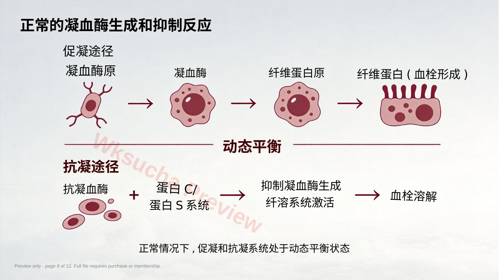 预览第 8 页